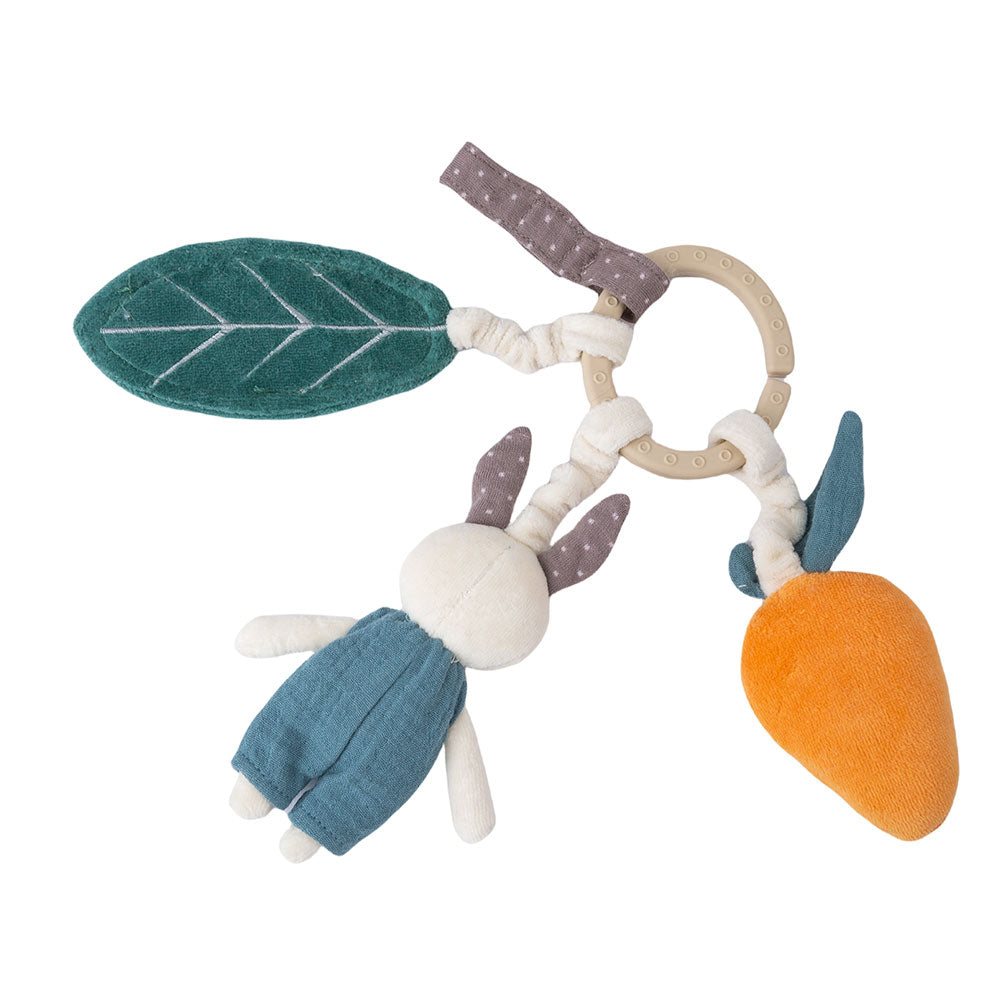 blue rabbit activity ring