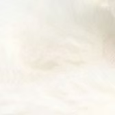 Cream Highland Cow Baby Slippers 0-6 months