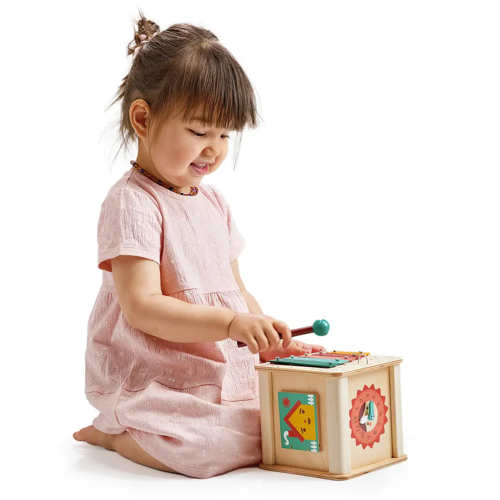 Wooden Activity Cube