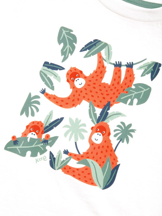 Orangutan T-Shirt | Kite Clothing