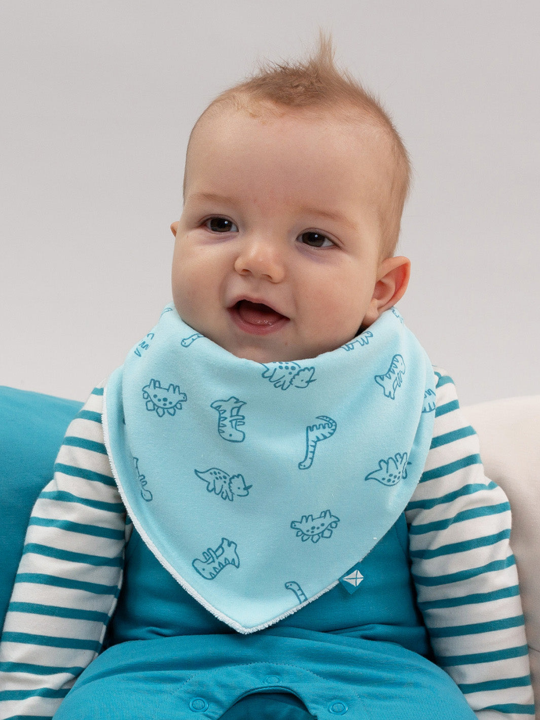 Diddy Dino Bib | Kite Clothing