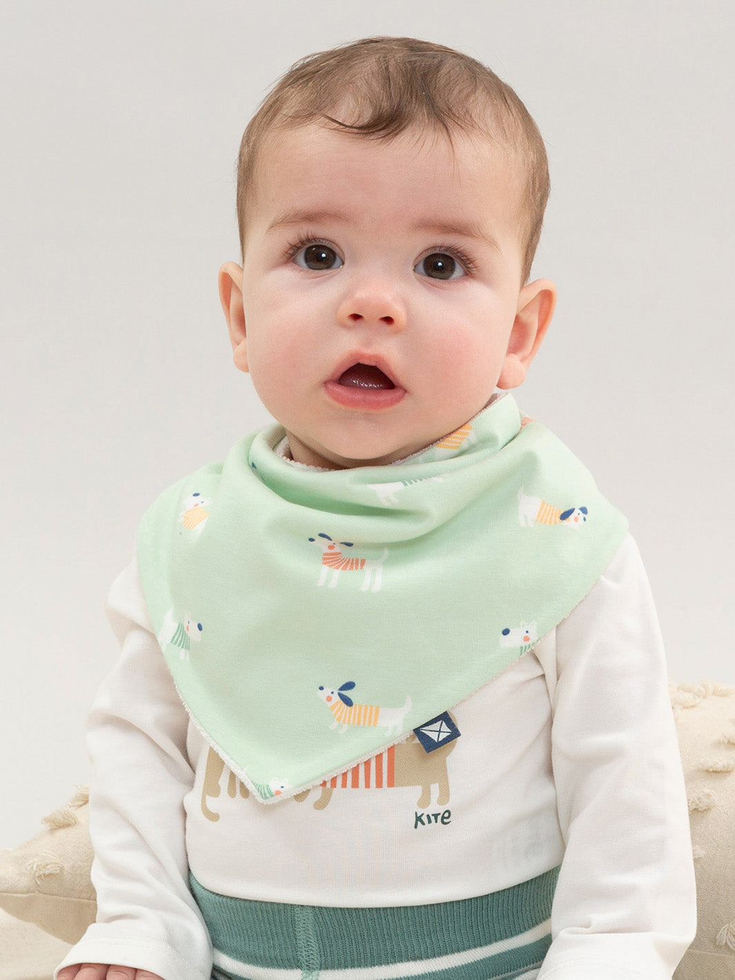 Lucky Pups Bib | Kite Clothing