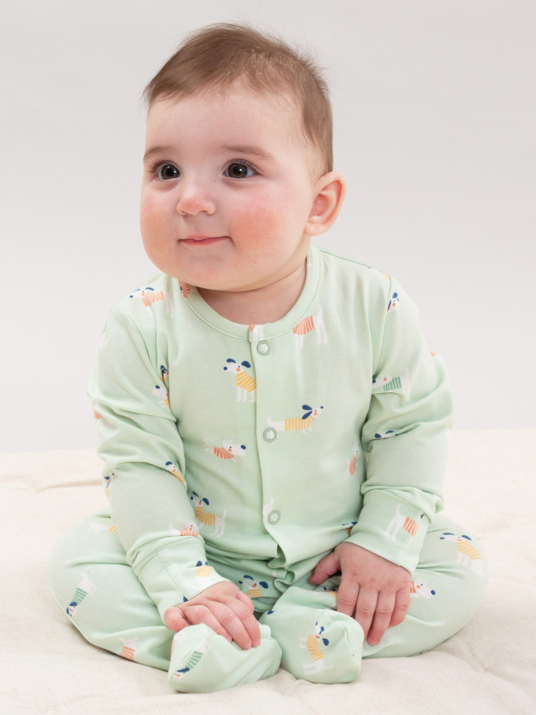 Lucky Pups Sleepsuit | Kite Clothing