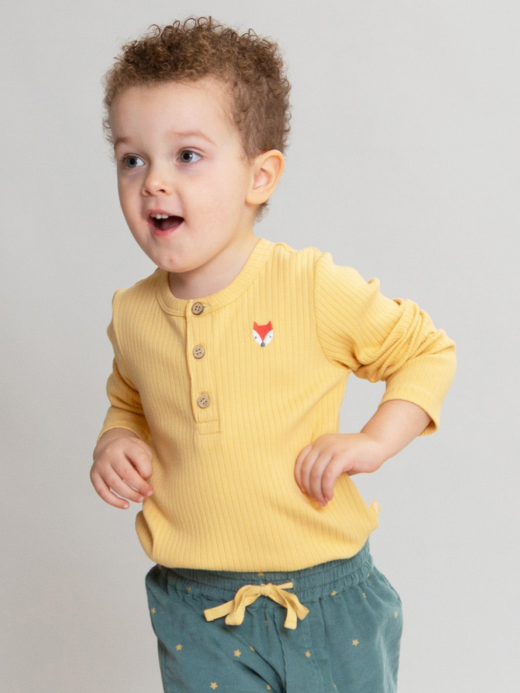 Clever Fox T-Shirt | Kite Clothing