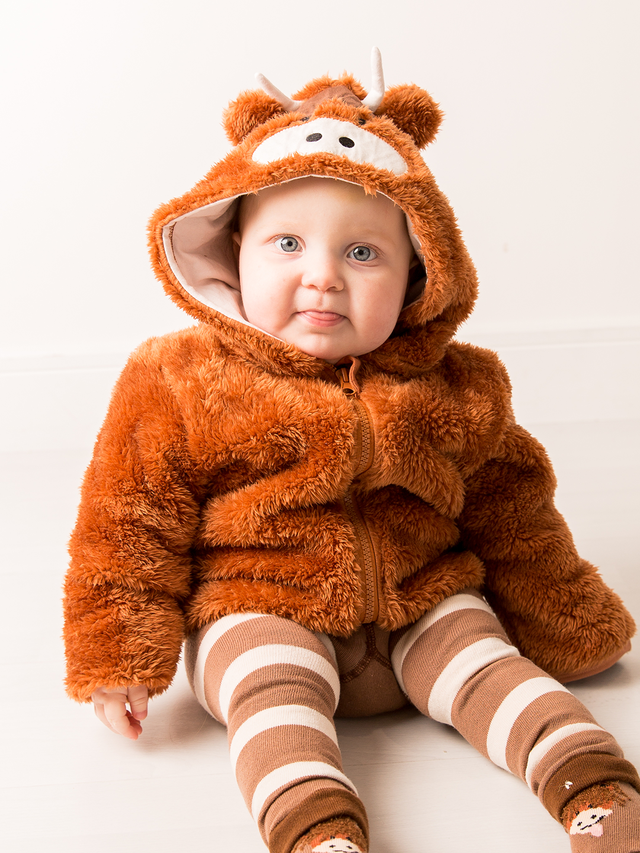 Neutral Highland Cow Hoodie | Blade & Rose